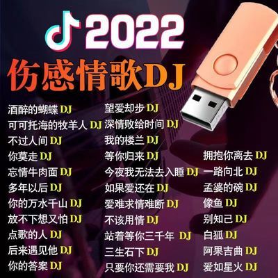 流行情歌DJ舞曲U盘2022抖音快手热门催泪伤感DJ网络新歌炸街神曲