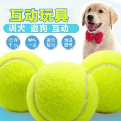 狗狗玩具弹力球幼犬磨牙耐咬泰迪博美小狗训练球金毛网球宠物用品