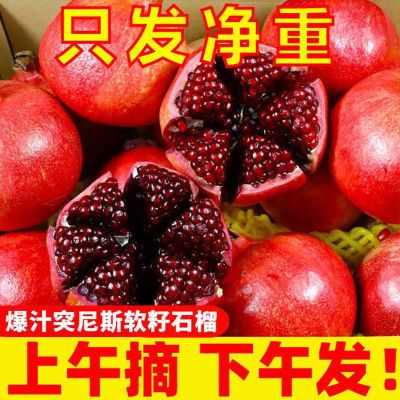 四川会理突尼斯软籽石榴3/5斤新鲜水果软籽石榴无籽石榴应季水果