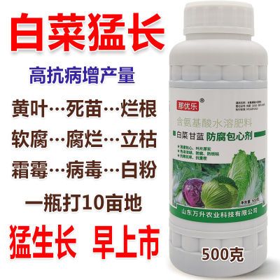 白菜病全治白菜专用药大白菜烂根黄叶腐烂软腐病灰霉病专用杀菌剂