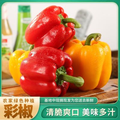 【高品质】5/3斤新鲜彩椒圆椒五彩椒柿子椒灯笼椒红黄椒水果甜