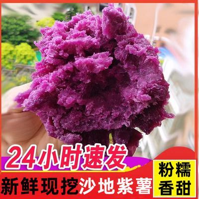 【低价尝鲜】当季现挖紫薯批发价新鲜紫罗兰蜜薯番薯地瓜粉糯香甜