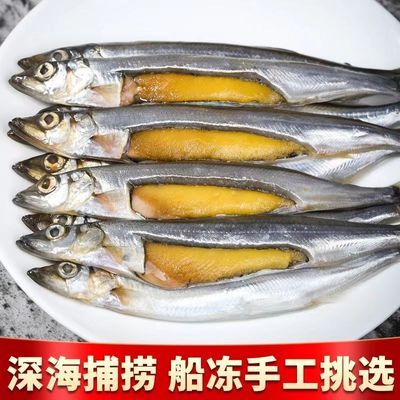 满籽多春鱼新鲜多籽鱼冷冻烧烤商用冰鲜特大带籽即食海鲜水产鱼籽