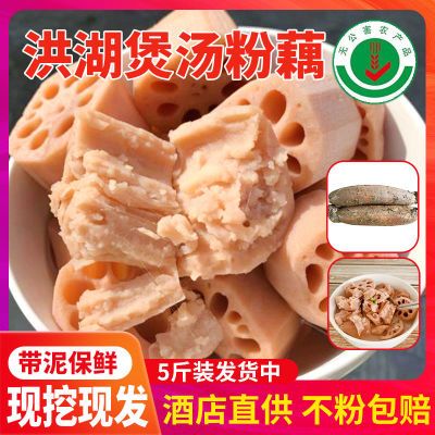 【真空包装】洪湖粉藕新鲜现挖粉藕煲汤糯九孔糯米藕湖北莲藕蔬菜