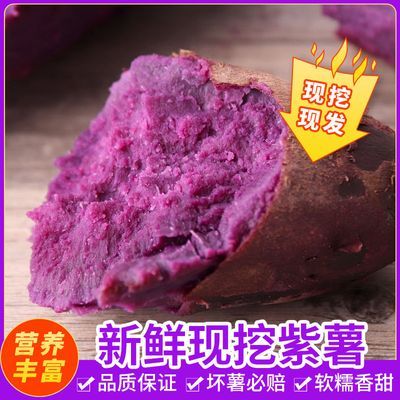 新鲜紫薯现挖现发正宗香甜沙地紫红薯小个紫地瓜批发价9/5/3斤
