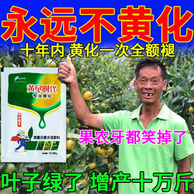 【果树黄化】黄化病专用药黄叶黄斑黄龙病果树用微量元素水溶肥料