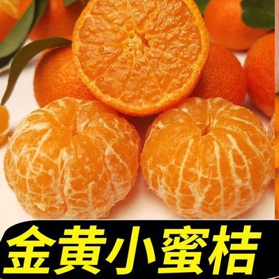 【皮薄无籽】橘子水果新鲜应季桔子批发3/10斤非砂糖橘黄皮涌泉