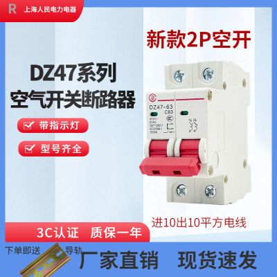 上海人民空气开关断路器DZ47C45 2P一火一零短路过载断电保护器
