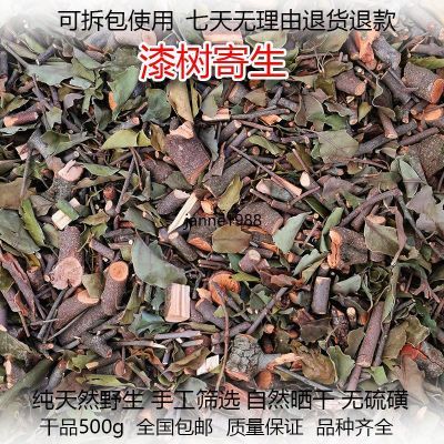 漆树寄生干品500g包邮漆木寄生痒漆树木蜡树寄生茶广西瑶山中草药