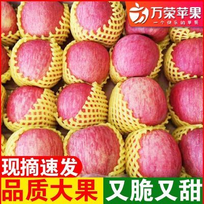 【品牌保障】万荣苹果水果红富士苹果4.5/8斤礼盒装冰糖心丑苹果