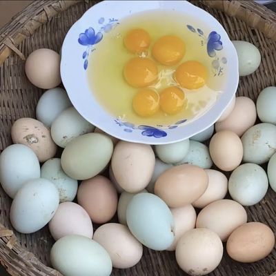土鸡蛋散养鸡蛋绿壳鸡蛋种蛋虫草蛋初生蛋小个土鸡蛋鸡蛋