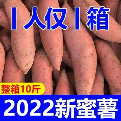 2022新鲜现挖红薯红蜜薯番薯地瓜红苕蜜薯2/5/10斤装