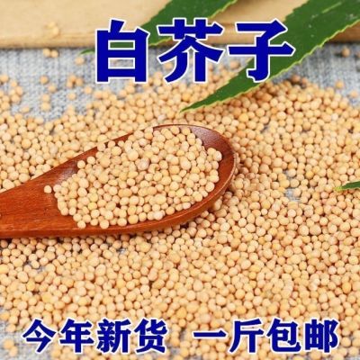 白芥子中药材白芥籽精选芥菜子无硫辣菜子包邮  另有炒白芥子便