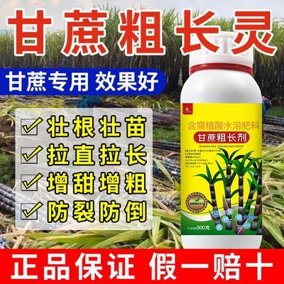 甘蔗叶面肥甘蔗拉长膨大素生根壮苗拉直拉长增甜增粗防病防裂防倒