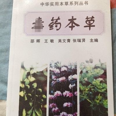 读药本草 读理学中草药 中华实用本草 邵晖著 中国医药科技出版