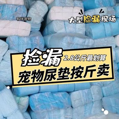 有伴宠物狗狗尿布垫厕所尿片便宜尿不湿吸水多功能护理垫工厂直发