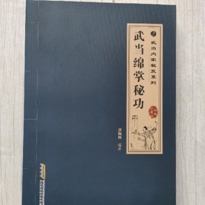 武当绵掌秘功 经典珍典版 绵掌连环手 武当内家秘笈 安徽科学技术