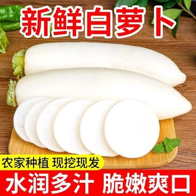 9斤新鲜白萝卜云南高原白萝卜新鲜蔬菜白皮长型大萝卜水多蔬菜