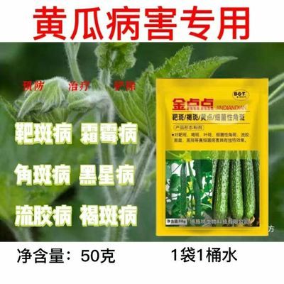 黄瓜专用药黄瓜靶斑病黄叶青枯炭疽病专用抗病增产微生物肥杀菌剂