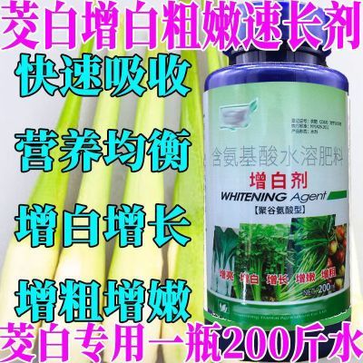 茭白增白粗嫩速长剂快速吸收增白增长增粗增嫩抗病增产茭白叶面肥