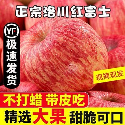 【2024新果】陕西洛川苹果红富士苹果正宗脆甜冰糖心苹果水果批发
