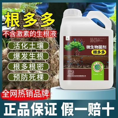 根多多生根壮苗剂蔬菜果树强力生根菌肥防根腐EM菌肥水溶肥冲施肥