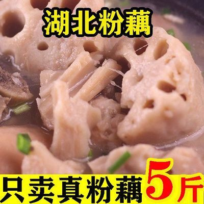 【活动中】正宗洪湖粉藕新鲜现挖带泥九孔糯米藕湖北莲藕批发价10【7月24日发完】