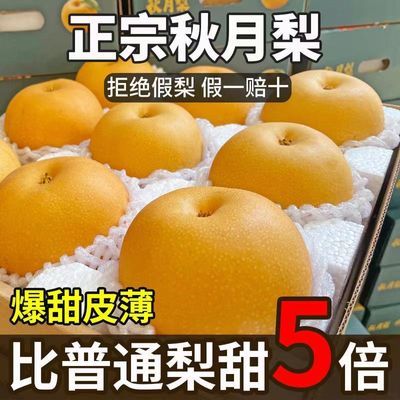 梨山东正宗秋月梨新鲜薄皮超甜大果梨子水果批发整箱10斤清热化痰