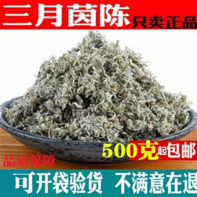 正品新货茵陈草药新鲜包邮正宗茵陈中药材包邮 茵陈 正宗茵陈