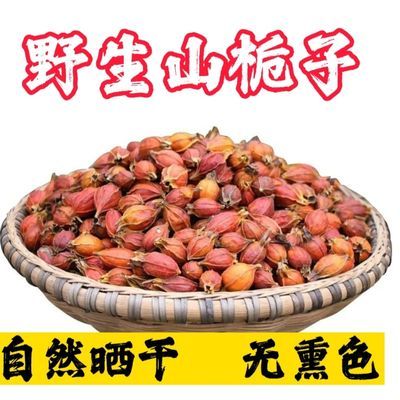 栀子果栀子花茶上色食用卤肉大颗野生栀子果黄栀子茶山栀子无硫