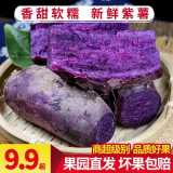 【必备粗粮】新鲜紫薯贵州农产品当季水果蔬菜番薯地瓜批发一整箱