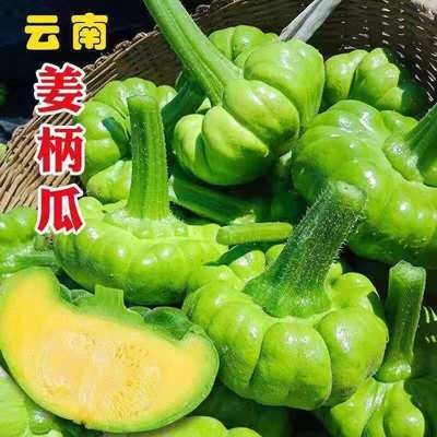 【高品质】3/5斤姜柄瓜云南农家自种新鲜蔬菜姜柄瓜嫩南瓜小甜瓜