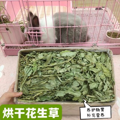 烘干花生草兔子龙猫荷兰猪干草宠物兔营养牧草养护肠胃下奶花生草