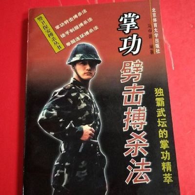 掌功劈击搏杀法 独霸武坛的掌功精萃 武功 北京体育大学出版1997