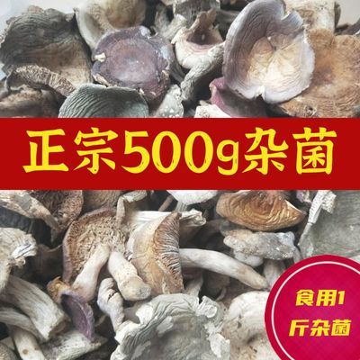 云南野生菌新鲜纯野生菌菇野蘑菇正宗纯天然原生态干农家干货特产