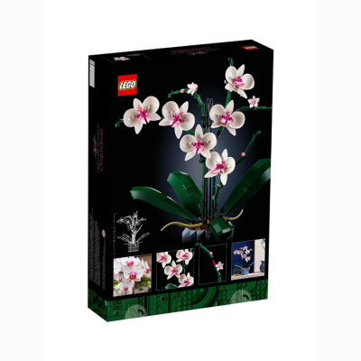 LEGO乐高10311兰花绿色植物盆景IDEAS系列男女孩拼装积木玩具礼物