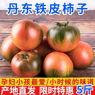 丹东铁皮草莓柿子新鲜生吃水果番茄绿腚碱地铁皮西红柿自然熟现摘