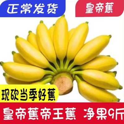 云南皇帝蕉2斤3斤5斤9斤当季新鲜水果非芭蕉苹果蕉包邮