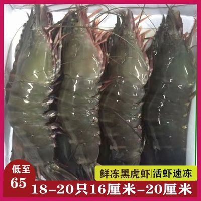 黑虎虾超大新鲜大虾老虎虾鲜活虎虾竹节虾生腌草虾海鲜深海对虾