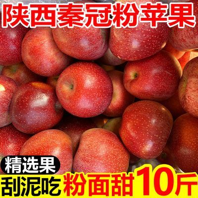 陕西秦冠粉苹果水果新鲜应季水果香甜粉面可刮泥丑苹果批发一整箱