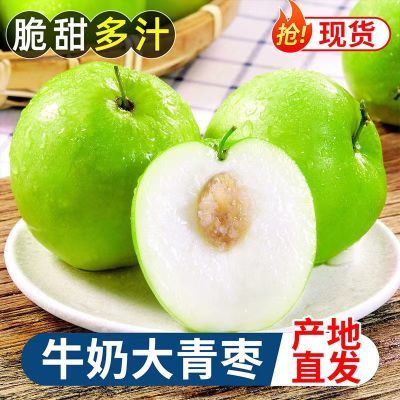 【高品质】3/5斤应季牛奶枣大青枣新鲜水果甜脆枣子脆枣贵妃枣