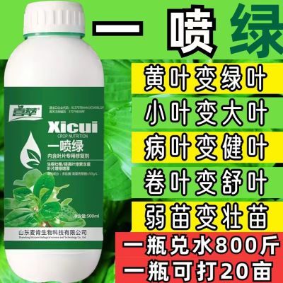 大蒜辣椒槟榔黄叶一喷绿死苗烂根蔬菜果树绿植花卉绿叶壮叶面肥