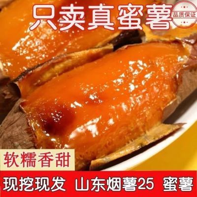 山东烟薯25号糖心红薯5斤装 蜜薯农家自种沙地番薯红薯地瓜