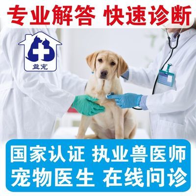 犬猫咪生病宠物医生问诊执业兽医师生在线上诊断专家咨询猫狗医院