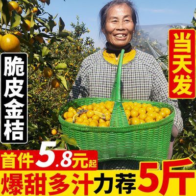 【爆甜】现摘融安金桔5斤新鲜脆皮金桔(单果5-20g)当季水果批发