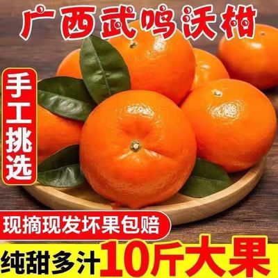 广西武鸣沃柑纯甜薄皮橘子当季新鲜沃柑桔子成熟一整箱包邮批发价