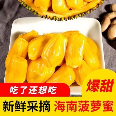 现摘发货海南三亚菠萝蜜新鲜水果当应季一整个黄肉波罗蜜批发非红