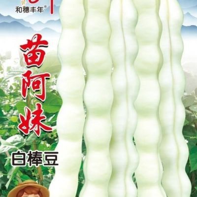 无筋豆种四季豆种子大全架豆王蔬菜种子大全。