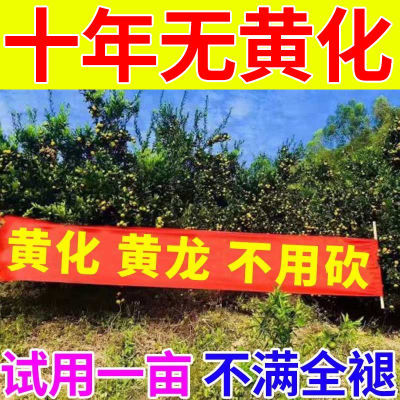 黄化病专用药【再无黄化】黄叶黄斑黄龙病果树用微量元素水溶肥料