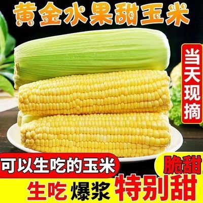 5斤净重云南水果玉米新鲜甜脆玉米农家现摘即食生吃嫩玉米棒特产